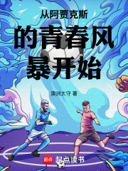 从阿贾克斯的青春风暴开始在线阅读