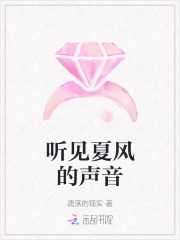 听见夏风的声音