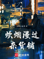 炊烟漫过杂货铺在线阅读