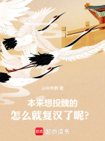 本来想投魏的，怎么就复汉了呢？封面