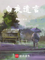白夜遗言在线阅读