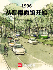 1996：从晋南面馆开始在线阅读