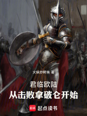 君临欧陆，从击败拿破仑开始在线阅读