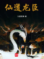 仙君计划封面