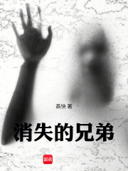 消失的兄弟在线阅读