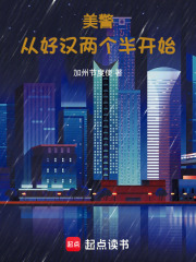 美警：从好汉两个半开始在线阅读