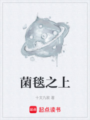 菌毯之上