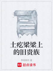 土疙梁梁上的旧贵族在线阅读