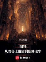 钢铁：从普鲁士附庸到欧陆主宰封面