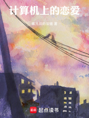 计算机上的恋爱