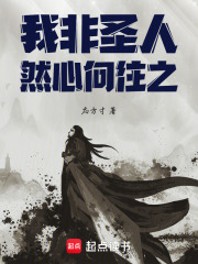 我非圣人然心向