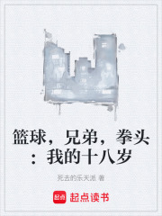 篮球，兄弟，拳头：我的十八岁在线阅读