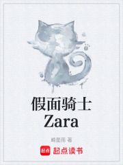 假面骑士Zara