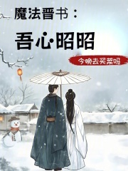 魔法晋书：吾心昭昭