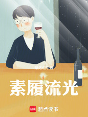 素履流光在线阅读