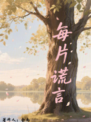 每片谎言在线阅读
