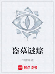 盗墓谜踪