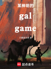 galgame