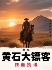 美综：黄石大镖客，铁血执法！在线阅读
