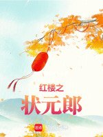 红楼之状元郎封面