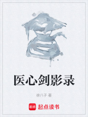 医心剑影录在线阅读