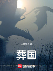 葬国！在线阅读