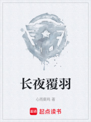 长夜覆羽在线阅读