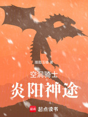 空洞骑士：炎阳神途
