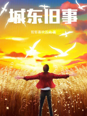 城东旧事在线阅读