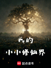 我的小小
