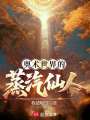 奥术世界的蒸汽仙人在线阅读