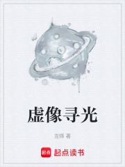 虚像寻光在线阅读