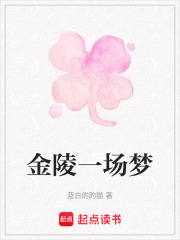 金陵一场梦在线阅读