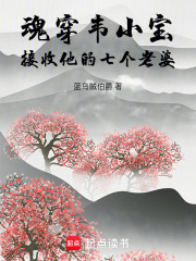 魂穿韦小宝，接收他的七个老婆在线阅读