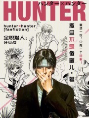 全职猎人：八奇技在线阅读