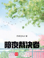 暗夜裁决者在线阅读