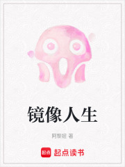 镜像人生在线阅读