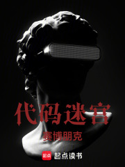 代码迷宫：赛博朋克在线阅读