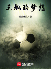 王旭的梦想在线阅读