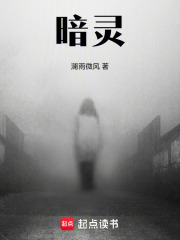 暗灵！在线阅读