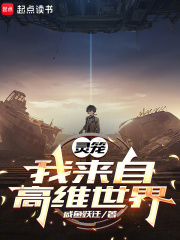 灵笼：我来自高维世界在线阅读
