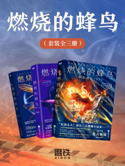 燃烧的蜂鸟（套装全三册）