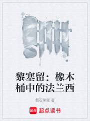 黎塞留：橡木桶中的法兰西在线阅读