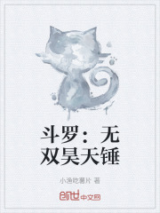 斗罗：无双昊天锤