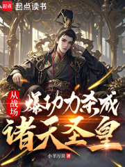 从战场爆功力杀成诸天圣皇在线阅读