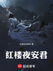 红楼夜安君