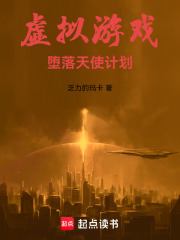 虚拟游戏：堕落天使计划