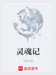 灵魂记在线阅读