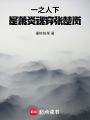 一人之下：是萧炎魂穿张楚岚在线阅读