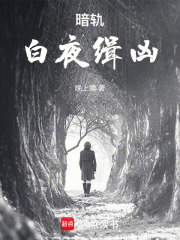 暗轨：白夜缉凶在线阅读